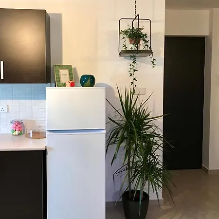 Fat Cow 101 Appartement Larnaca