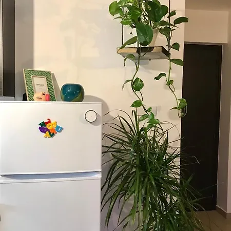 Apartmán Fat Cow 101 Larnaca