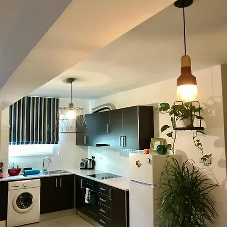 Fat Cow 101 * 라르나카