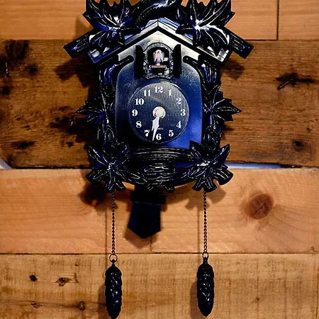 Fat Cow 101 아파트