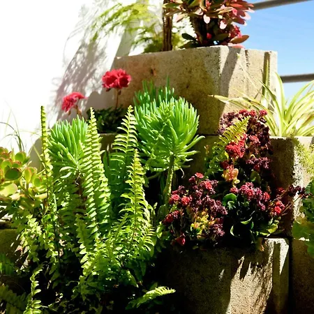 Fat Cow 101 * 라르나카