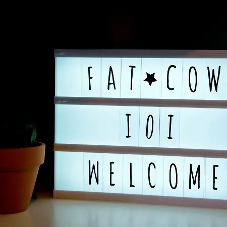 Fat Cow 101 לרנקה
