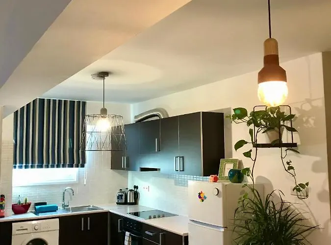 Fat Cow 101 * Larnaca