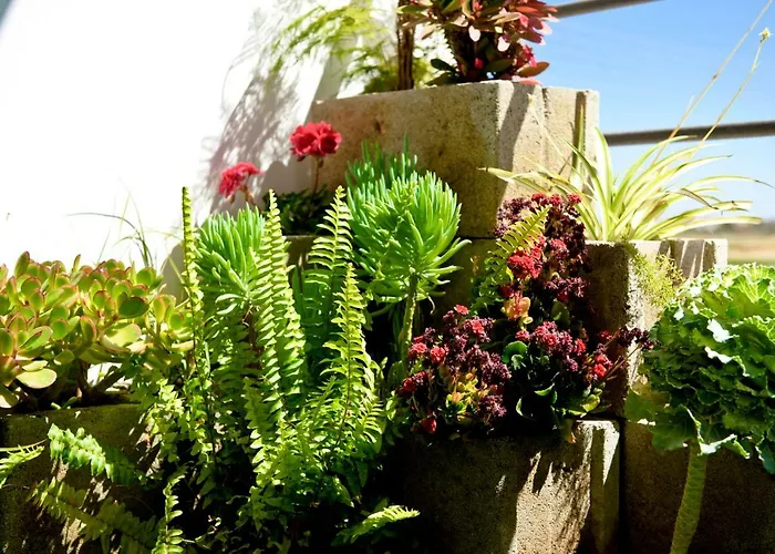 Fat Cow 101 * Larnaca