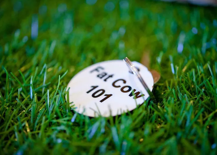 Fat Cow 101 Appartamento *