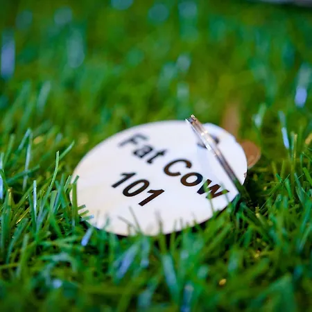 Fat Cow 101 Apartamento *